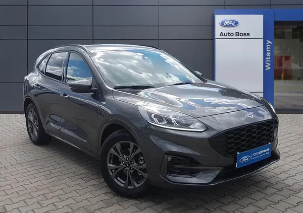 śląskie Ford Kuga cena 129900 przebieg: 13, rok produkcji 2022 z Książ Wielkopolski